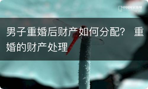 男子重婚后财产如何分配？ 重婚的财产处理