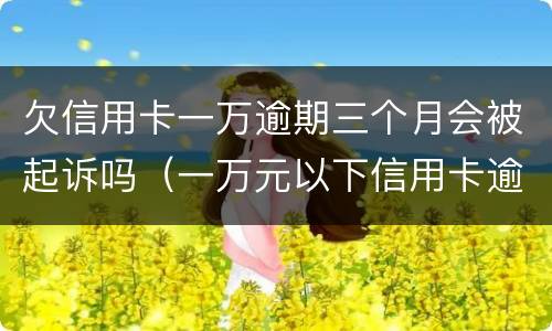 欠信用卡一万逾期三个月会被起诉吗（一万元以下信用卡逾期三个月会被起诉吗）