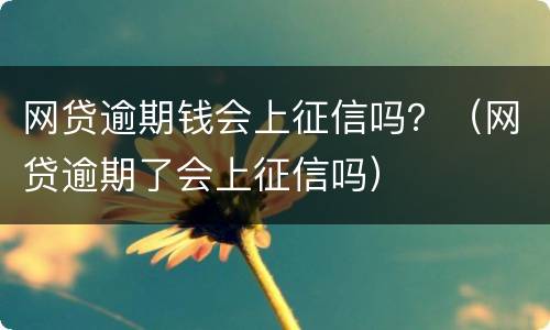 网贷逾期钱会上征信吗？（网贷逾期了会上征信吗）