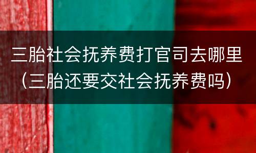 三胎社会抚养费打官司去哪里（三胎还要交社会抚养费吗）