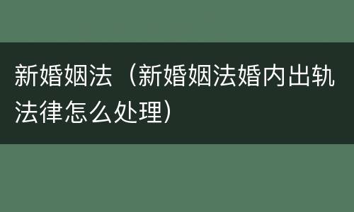 新婚姻法（新婚姻法婚内出轨法律怎么处理）