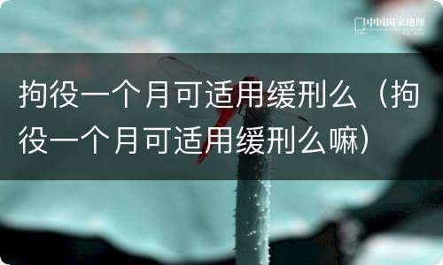 拘役一个月可适用缓刑么（拘役一个月可适用缓刑么嘛）