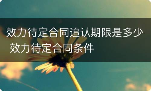 效力待定合同追认期限是多少 效力待定合同条件