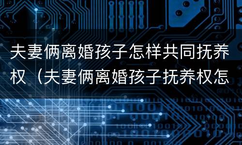 夫妻俩离婚孩子怎样共同抚养权（夫妻俩离婚孩子抚养权怎样争）