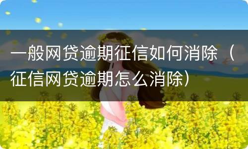 一般网贷逾期征信如何消除（征信网贷逾期怎么消除）