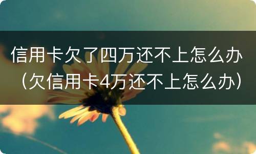 信用卡欠了四万还不上怎么办（欠信用卡4万还不上怎么办）