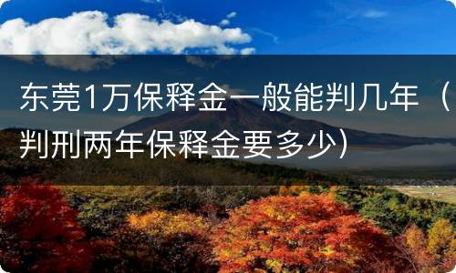 东莞1万保释金一般能判几年（判刑两年保释金要多少）
