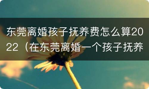 东莞离婚孩子抚养费怎么算2022（在东莞离婚一个孩子抚养大概多少）