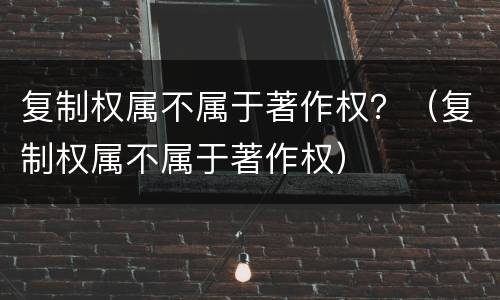 复制权属不属于著作权？（复制权属不属于著作权）