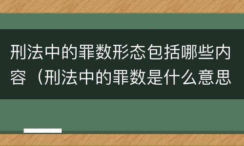 刑法中的罪数形态包括哪些内容（刑法中的罪数是什么意思）