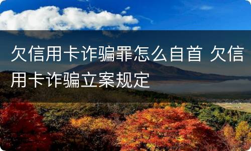 欠信用卡诈骗罪怎么自首 欠信用卡诈骗立案规定