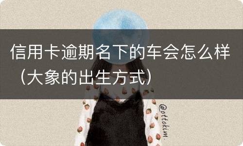 信用卡逾期名下的车会怎么样（大象的出生方式）