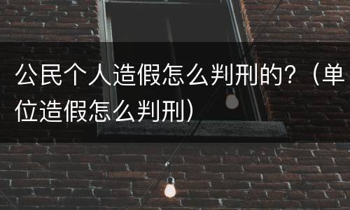 公民个人造假怎么判刑的?（单位造假怎么判刑）