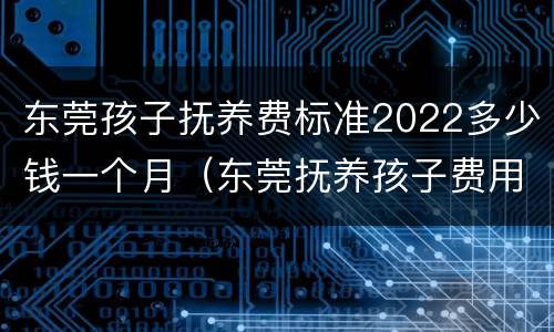 东莞孩子抚养费标准2022多少钱一个月（东莞抚养孩子费用）