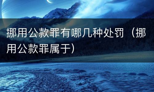 挪用公款罪有哪几种处罚（挪用公款罪属于）
