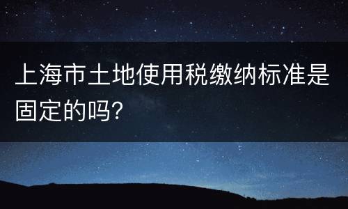 上海市土地使用税缴纳标准是固定的吗？