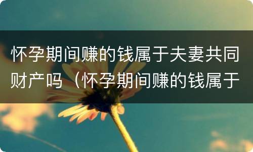 怀孕期间赚的钱属于夫妻共同财产吗（怀孕期间赚的钱属于夫妻共同财产吗）