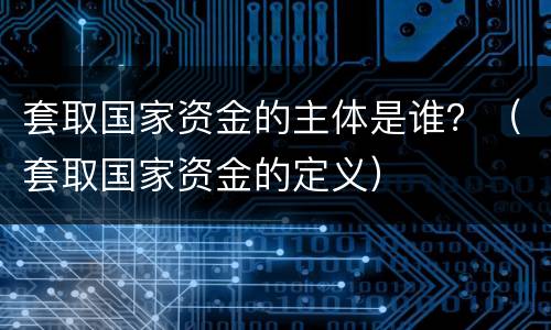 套取国家资金的主体是谁？（套取国家资金的定义）