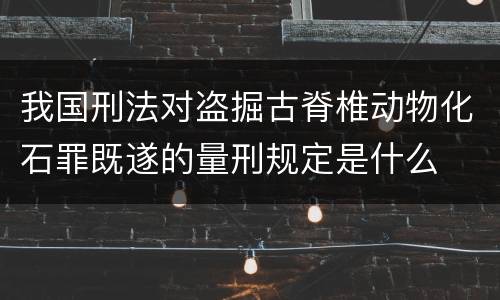 我国刑法对盗掘古脊椎动物化石罪既遂的量刑规定是什么