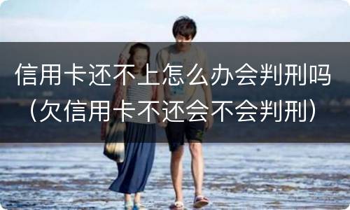 信用卡还不上怎么办会判刑吗（欠信用卡不还会不会判刑）