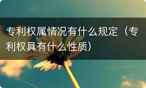 专利权属情况有什么规定（专利权具有什么性质）