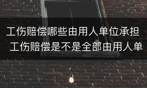 工伤赔偿哪些由用人单位承担 工伤赔偿是不是全部由用人单位赔偿