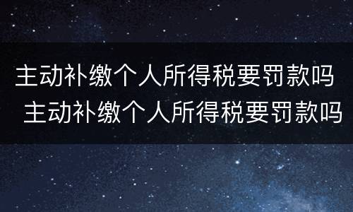 主动补缴个人所得税要罚款吗 主动补缴个人所得税要罚款吗多少钱
