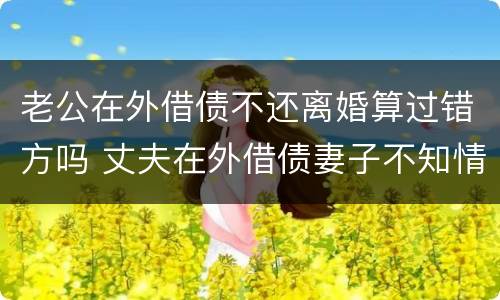 老公在外借债不还离婚算过错方吗 丈夫在外借债妻子不知情也要承担债务吗