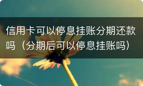 信用卡可以停息挂账分期还款吗（分期后可以停息挂账吗）
