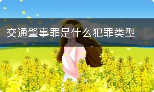 交通肇事罪是什么犯罪类型