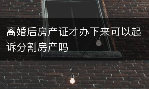 离婚后房产证才办下来可以起诉分割房产吗