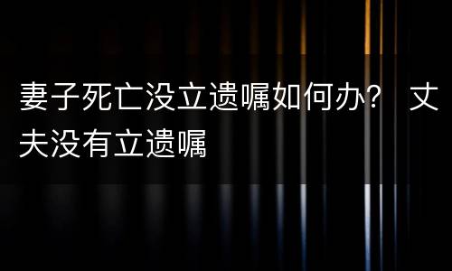 妻子死亡没立遗嘱如何办？ 丈夫没有立遗嘱