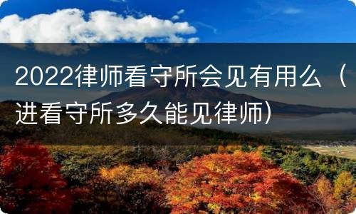 2022律师看守所会见有用么（进看守所多久能见律师）