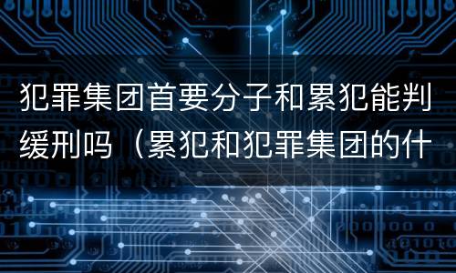 犯罪集团首要分子和累犯能判缓刑吗（累犯和犯罪集团的什么不适用缓刑）