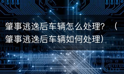 肇事逃逸后车辆怎么处理？（肇事逃逸后车辆如何处理）