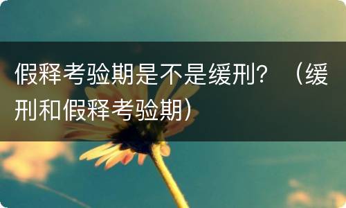假释考验期是不是缓刑？（缓刑和假释考验期）