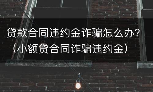 贷款合同违约金诈骗怎么办？（小额贷合同诈骗违约金）