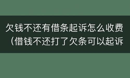欠钱不还有借条起诉怎么收费（借钱不还打了欠条可以起诉么）
