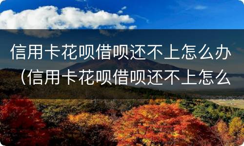 信用卡花呗借呗还不上怎么办（信用卡花呗借呗还不上怎么办呢）