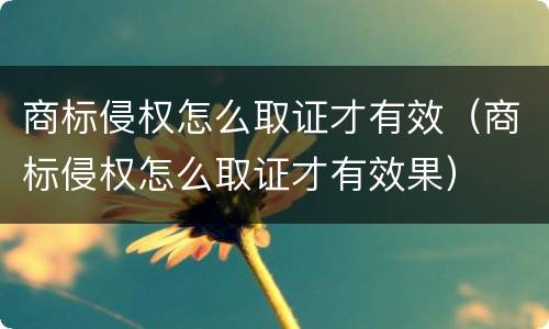 商标侵权怎么取证才有效（商标侵权怎么取证才有效果）