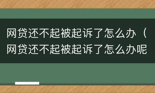 网贷还不起被起诉了怎么办（网贷还不起被起诉了怎么办呢）