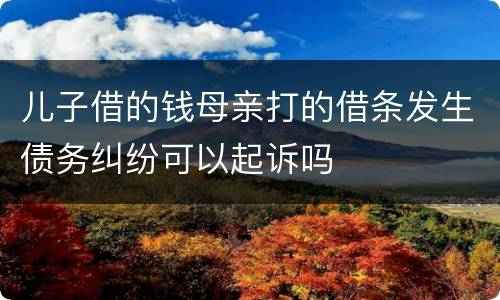 儿子借的钱母亲打的借条发生债务纠纷可以起诉吗