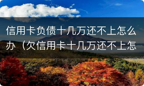 信用卡负债十几万还不上怎么办（欠信用卡十几万还不上怎么办）