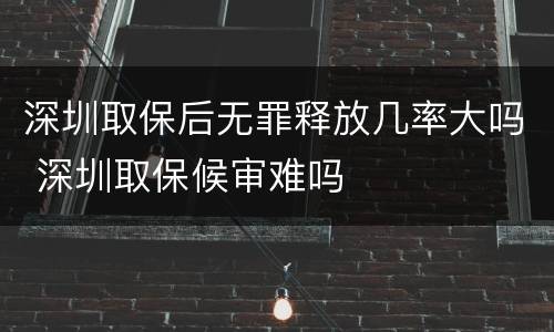 深圳取保后无罪释放几率大吗 深圳取保候审难吗