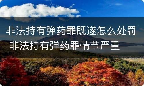 非法持有弹药罪既遂怎么处罚 非法持有弹药罪情节严重