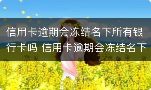 信用卡逾期会冻结名下所有银行卡吗 信用卡逾期会冻结名下所有银行卡吗知乎