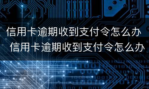 信用卡逾期收到支付令怎么办 信用卡逾期收到支付令怎么办理