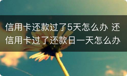 信用卡还款过了5天怎么办 还信用卡过了还款日一天怎么办