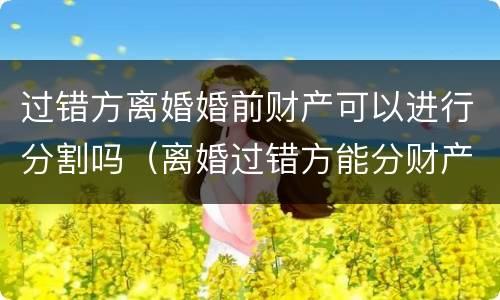 过错方离婚婚前财产可以进行分割吗（离婚过错方能分财产吗?）