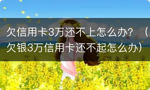欠信用卡3万还不上怎么办？（欠银3万信用卡还不起怎么办）